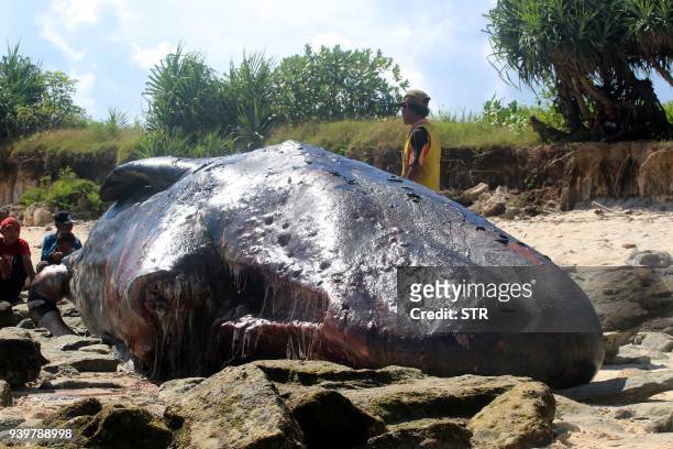 Residents gather to catch a glimpse of a carcass of a nine-meter long sperm whale that washed ashore on Tabuan Beach in East Lombok on March 29,...