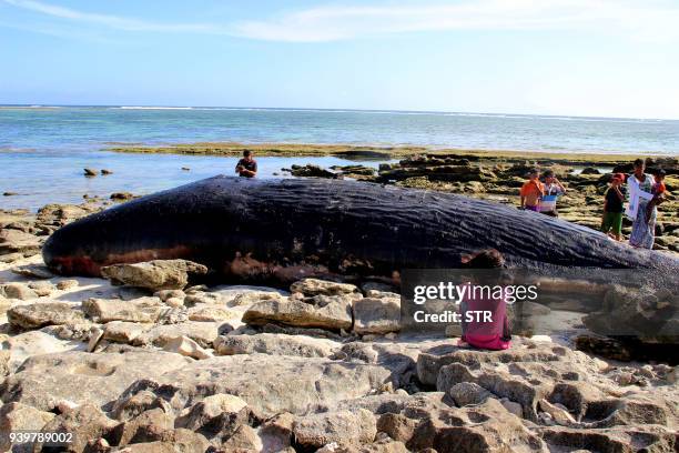 Residents gather to catch a glimpse of a carcass of a nine-meter long sperm whale that washed ashore on Tabuan Beach in East Lombok on March 29,...