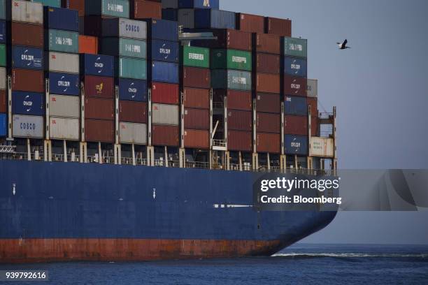 Bird flies past the APL Danube container ship approaching the Port of Los Angeles in Los Angeles, California, U.S., on Wednesday, March 28, 2018....