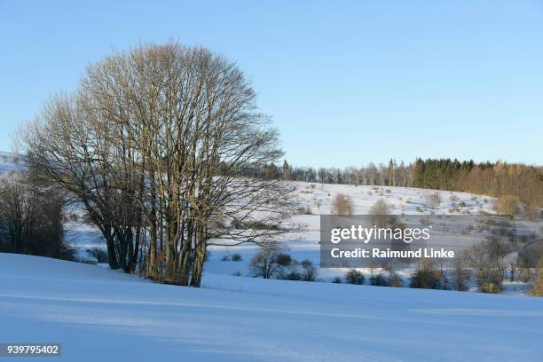 winter landscape, rhoen mountain, bavaria, germany - rhön stock-fotos und bilder