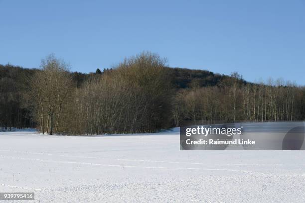 winter landscape, rhoen mountain, bavaria, germany - rhön stock-fotos und bilder