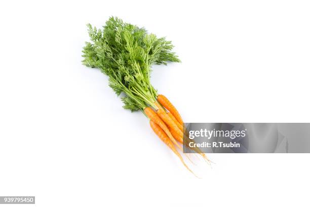 fresh carrots with green leaves - carotine stock-fotos und bilder