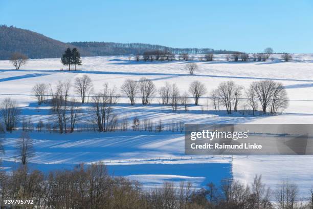 landscape in winter, gersfeld, rhoen mountain, hesse, germany - rhön stock-fotos und bilder