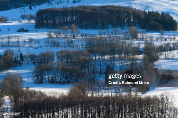landscape in winter, gersfeld, rhoen mountain, hesse, germany - rhön stock-fotos und bilder