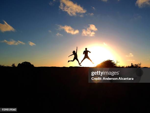 casal feliz no por do sol - pulando fotografías e imágenes de stock