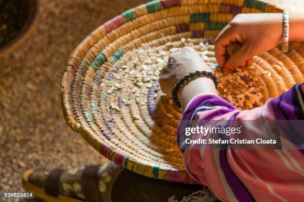 women sorting argan seeds in morocco, africa - argan photos et images de collection