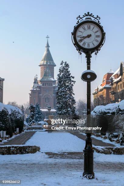 snow in timisoara, romania - march month stock pictures, royalty-free photos & images