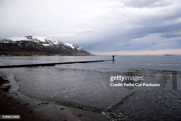 one fisherman at saudarkrokur, north iceland - skagafjordur stock pictures, royalty-free photos & images