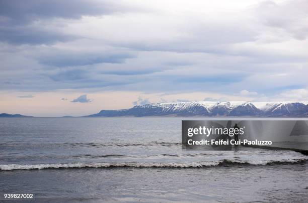 one fisherman at saudarkrokur, north iceland - skagafjordur stock pictures, royalty-free photos & images