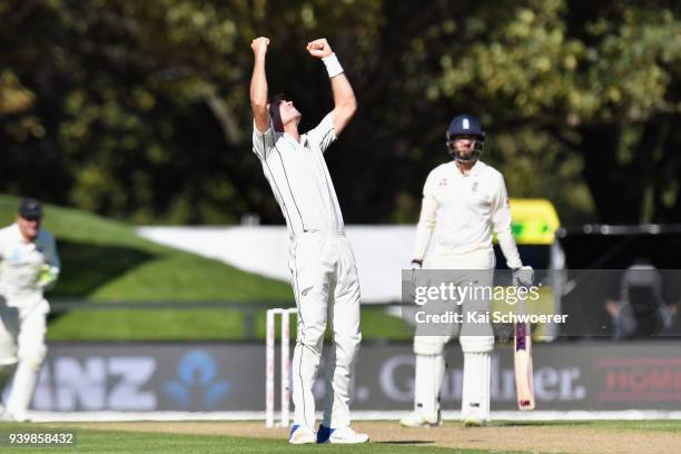 Tim Southee of New Zealand celebrates after dismissing James Vince of England during day one of the Second Test match between New Zealand and England...