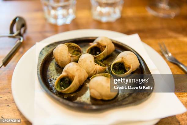 burgundy escargot snails with garlic herbs butter in metal pan on rustic wooden background - snail stock pictures, royalty-free photos & images