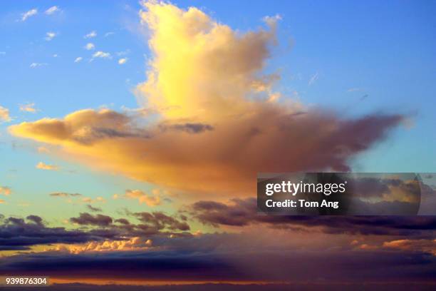 cloud typologies in dramatic skies - kapiti coast stock pictures, royalty-free photos & images