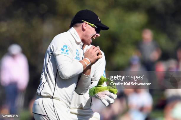 Tom Latham of New Zealand celebrates after taking a catch to dismiss Mark Stoneman of England during day one of the Second Test match between New...