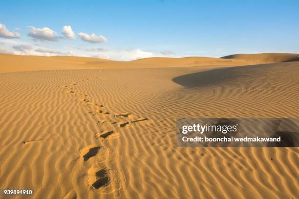 shadow men in the desert - rajasthan stock pictures, royalty-free photos & images