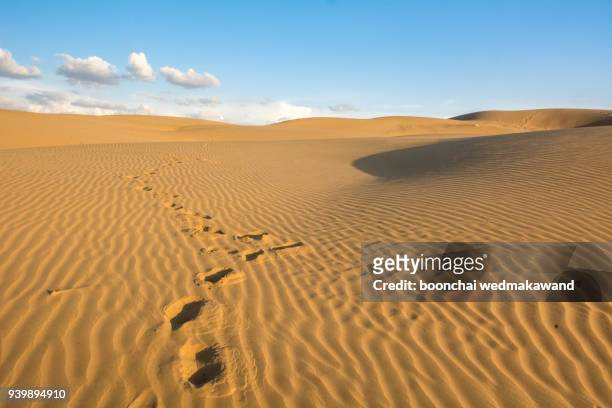 shadow men in the desert - libya bildbanksfoton och bilder