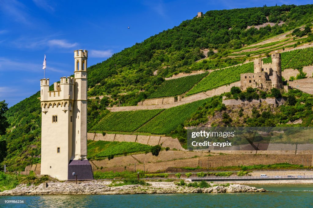Rheingau / rhin- valley / Bingen Mouse Tower / Ehrenfels Castle