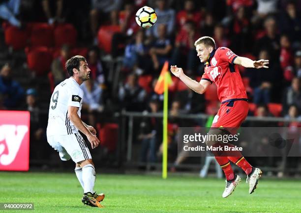 Ryan Kitto of Adelaide United heads over Andrea Kaluderovic of Wellington Phoenix during the round 25 A-League match between Adelaide United and the...