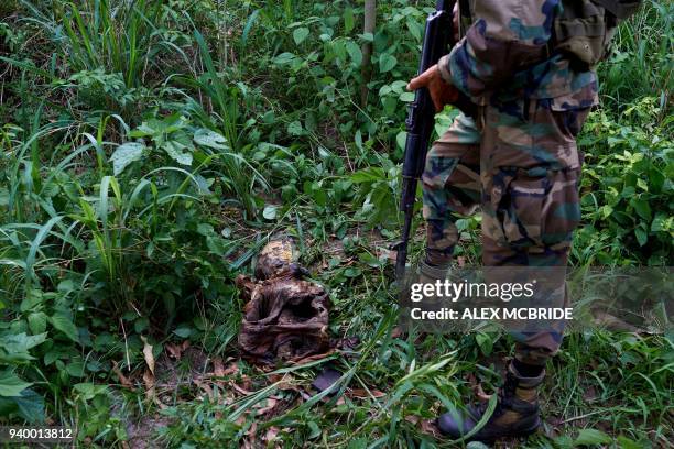 Soldiers come across a decomposing body while on patrol in the area surrounding the village of Kafe, at Lake Albert in Ituri on March 27, 2018....