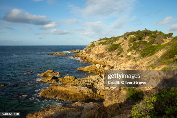 rocky headland - tathra stock pictures, royalty-free photos & images