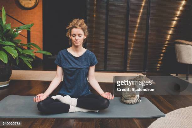 pratiquant le yoga à la maison - salle yoga photos et images de collection
