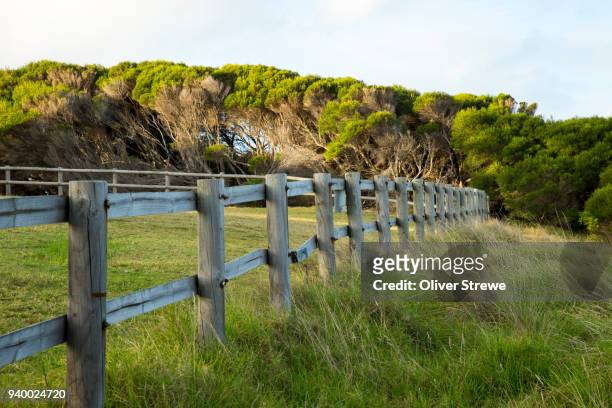 wooden fence - tathra fotografías e imágenes de stock