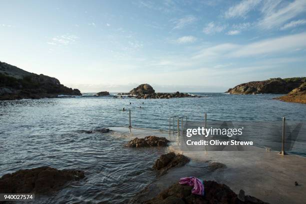 harbour swimmers - tathra stock pictures, royalty-free photos & images