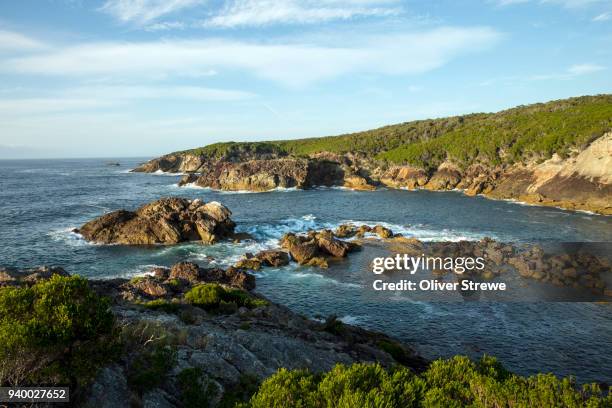 rocky coastline - tathra stock pictures, royalty-free photos & images