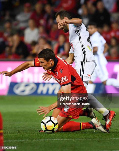 George Blackwood of Adelaide United clashes with Andrew Durante of Wellington Phoenix during the round 25 A-League match between Adelaide United and...