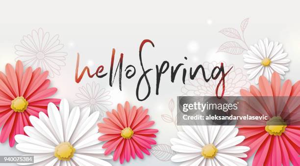 spring background with daisy flowers - flower background stock illustrations