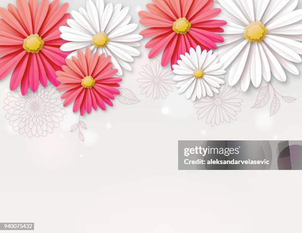 illustrations, cliparts, dessins animés et icônes de fond de fleurs de marguerite - fleur en papier