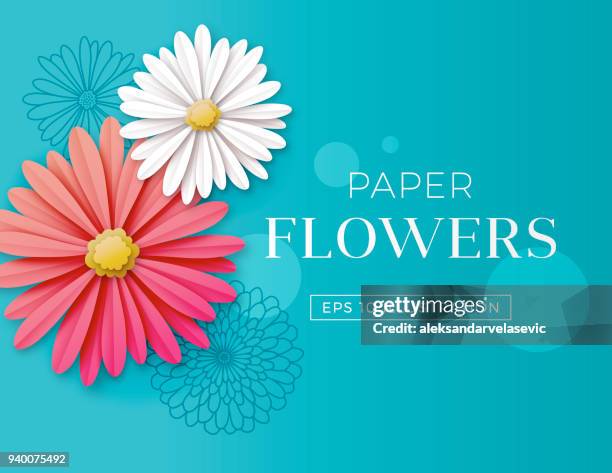 illustrations, cliparts, dessins animés et icônes de fond de fleurs de marguerite - fleur en papier