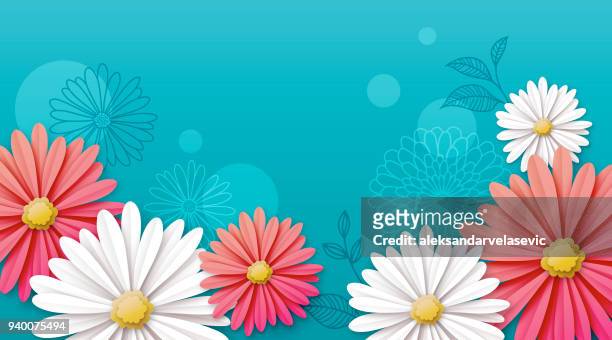 illustrations, cliparts, dessins animés et icônes de fond de fleurs de marguerite - spring background