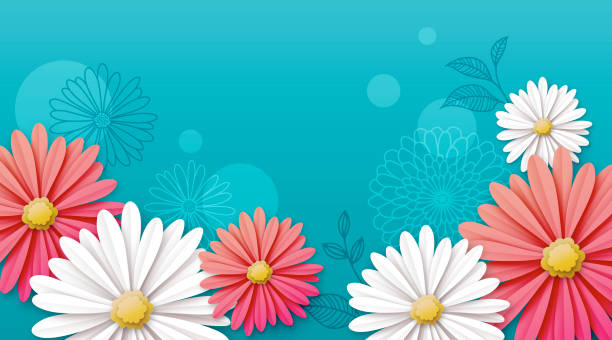 daisy flower background - spring background stock illustrations