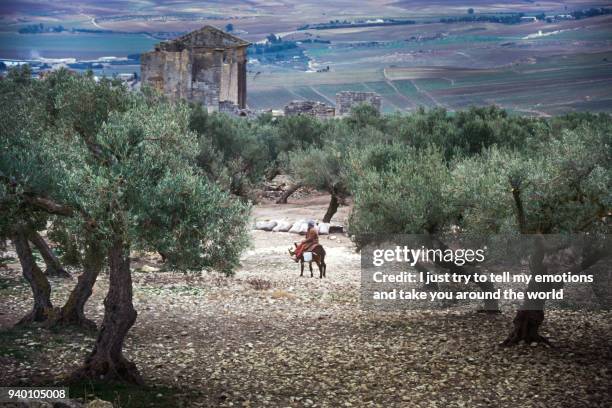 dougga, tunisia, tunis - ancient roman city of dougga, a unesco world heritage site in northern tunisia - mosque of tunis stock pictures, royalty-free photos & images