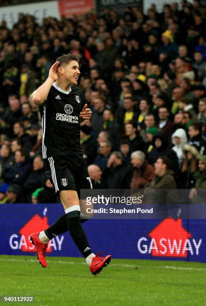 Tom Cairney of Fulham celebrates scoring his side's second goal during the Sky Bet Championship match between Norwich City and Fulham at Carrow Road...