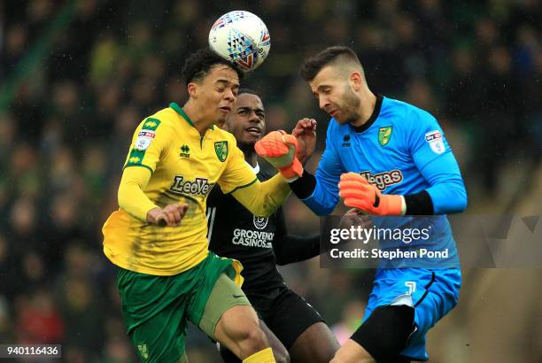 Jamal Lewis and Angus Gunn of Norwich City collide as Ryan Sessengnon of Fulham looks on during the Sky Bet Championship match between Norwich City...