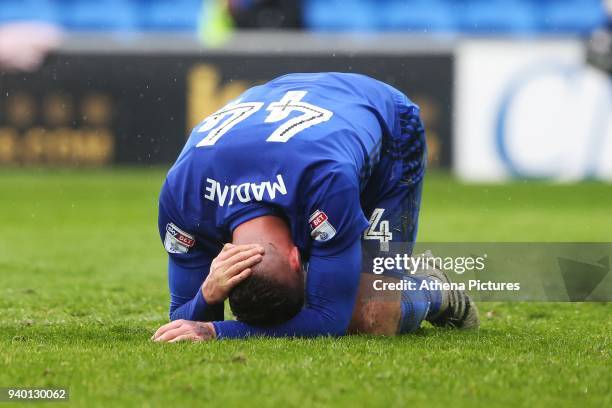 Gary Madine of Cardiff City goes down injured during the Sky Bet Championship match between Cardiff City and Burton Albion at the Cardiff City...