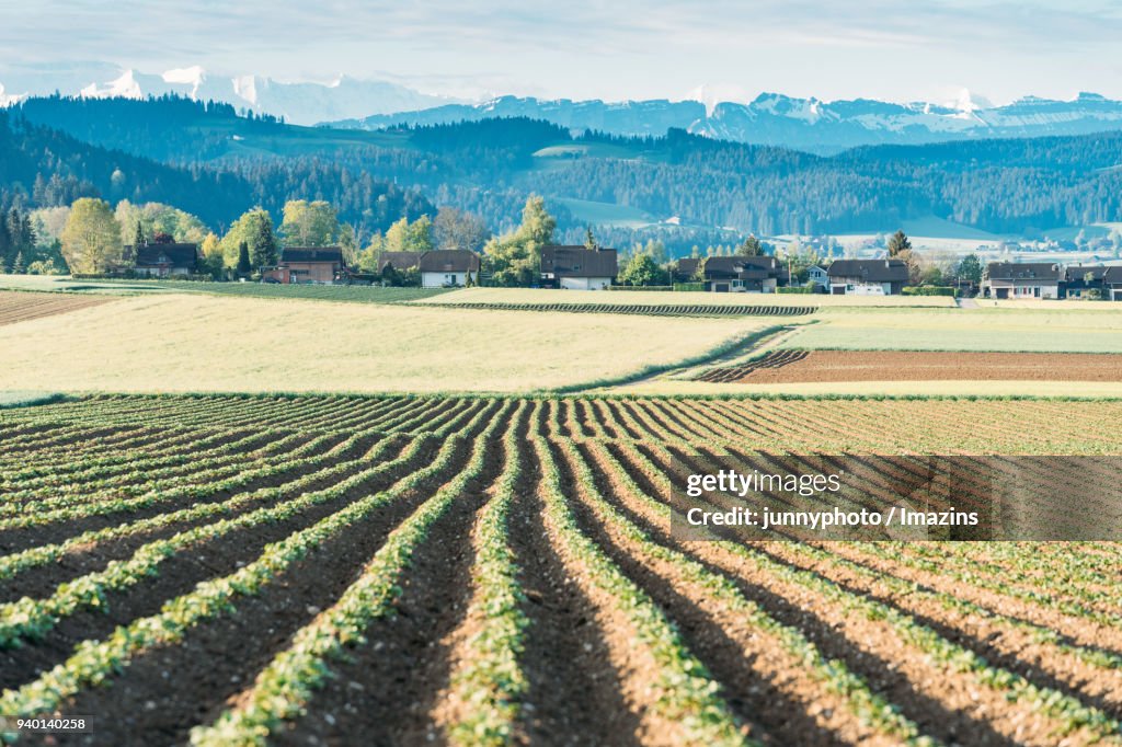 Landscape of Emmental, Switzerland