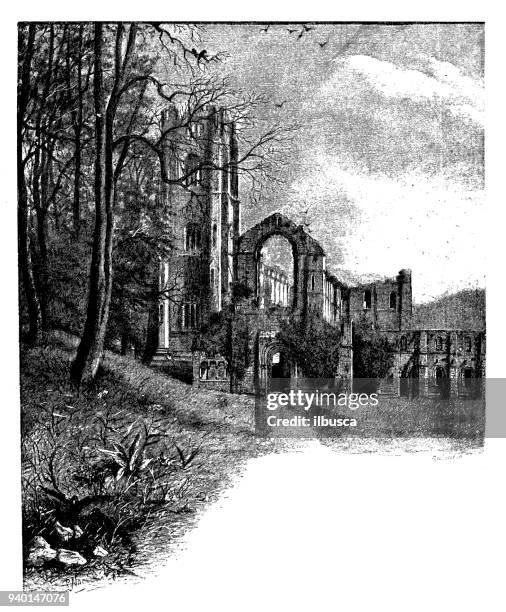 ilustraciones, imágenes clip art, dibujos animados e iconos de stock de antiguos ilustraciones de inglaterra, escocia e irlanda: abadía de fuentes - abadía