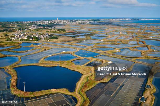 france, loire-atlantique, guérande, salt marshes from above - loire atlantique stock pictures, royalty-free photos & images