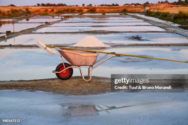 france, vendée, noirmoutier island, salt marshes - noirmoutier stock-fotos und bilder