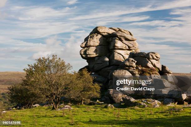 vixen tor, dartmoor, england - saillie rocheuse photos et images de collection