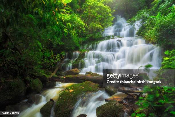 wonderful big waterfall in deep forest - new zealand stockfoto's en -beelden