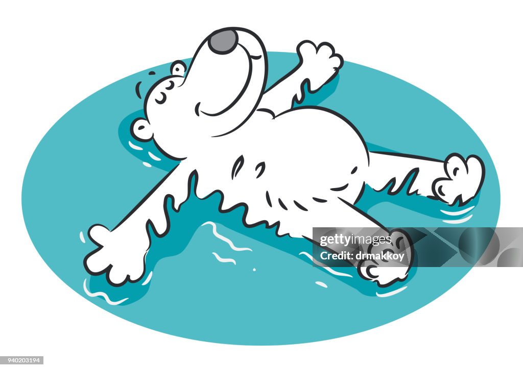 Polar bear sleeping on the sea