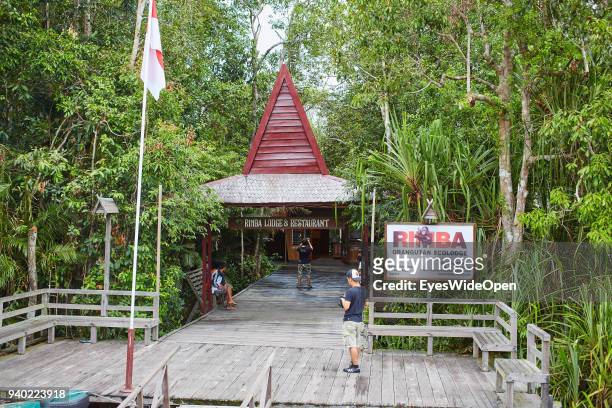 Rimba Orang-Utan Lodge, in the Rainforest of Tanjung Puting Nationalpark on October 27, 2013 in Pondok Tanggui, Kalimantan, Indonesia.