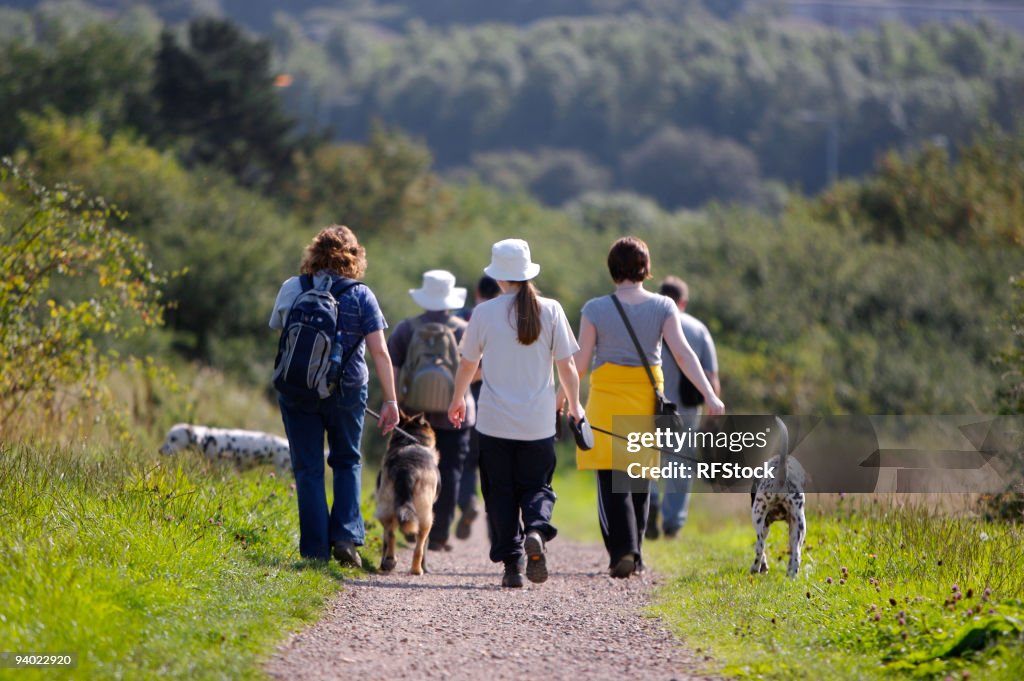 Brisk walk in the country