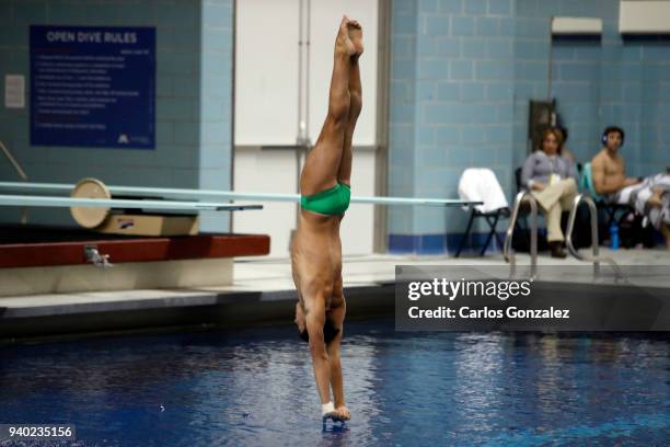 David Dinsmore of Miami competes in the diving competition during the Division I Men's Swimming & Diving Championship at the University of Minnesota...