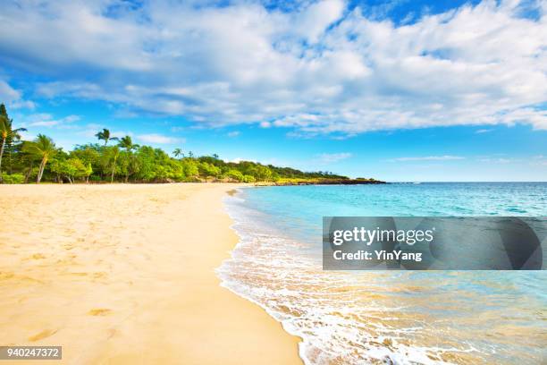 hulopoe beach de la isla de lanai en hawaii - islas-de-hawái fotografías e imágenes de stock
