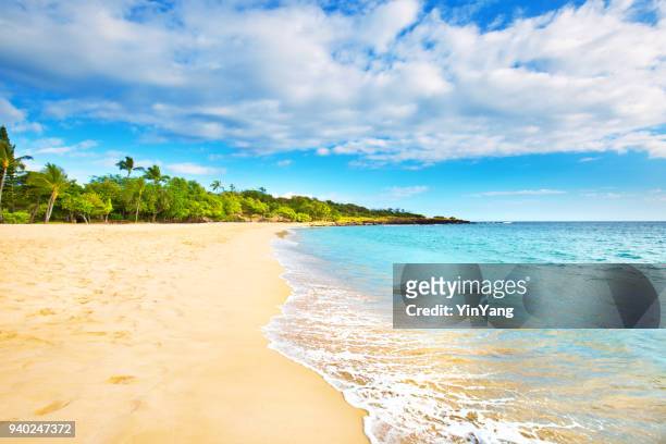 spiaggia di hulopoe dell'isola di lanai alle hawaii - litorale foto e immagini stock