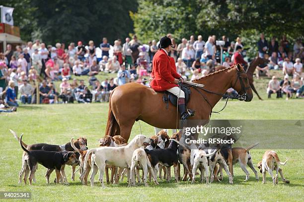 hunting demonstration - fete stock pictures, royalty-free photos & images